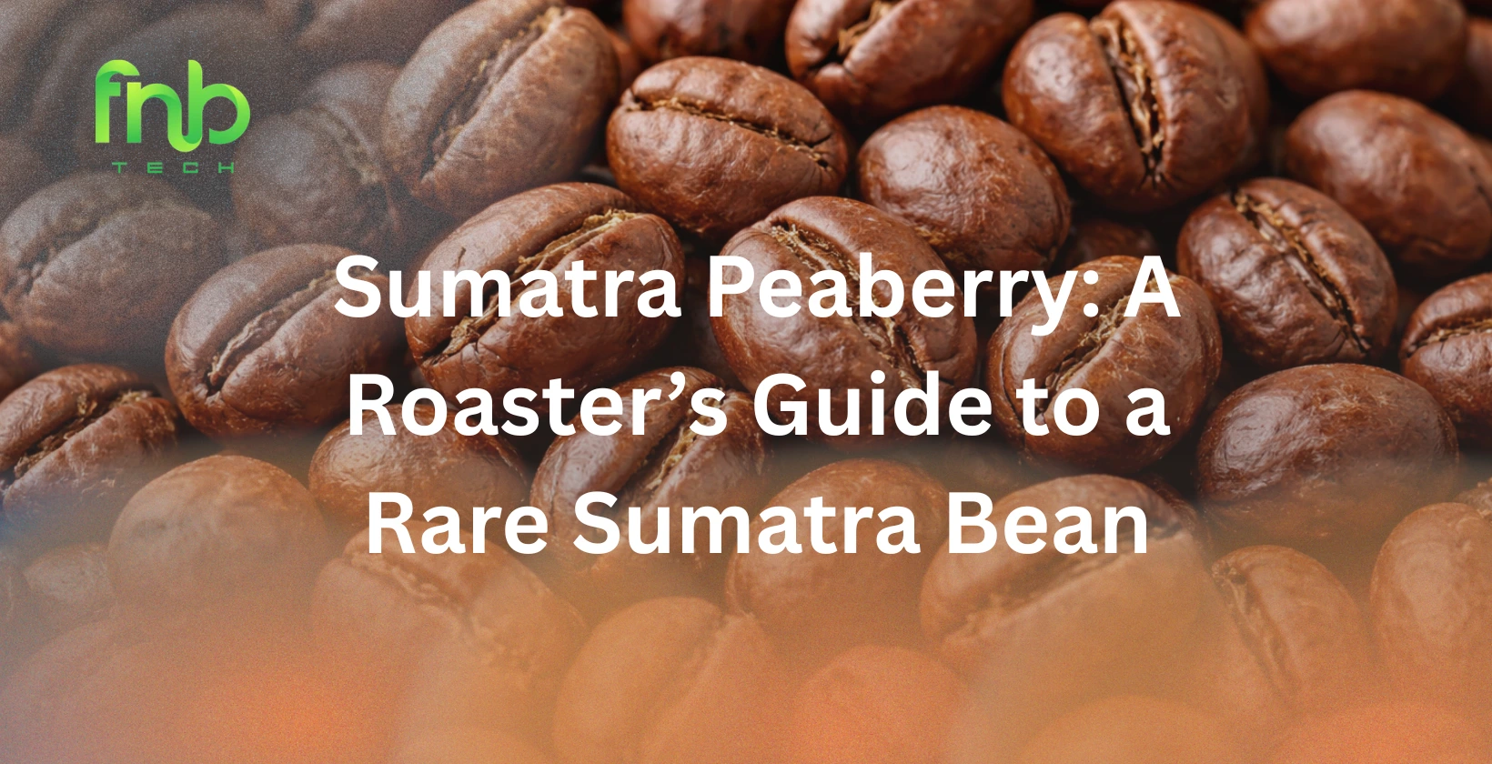 sumatra peaberry