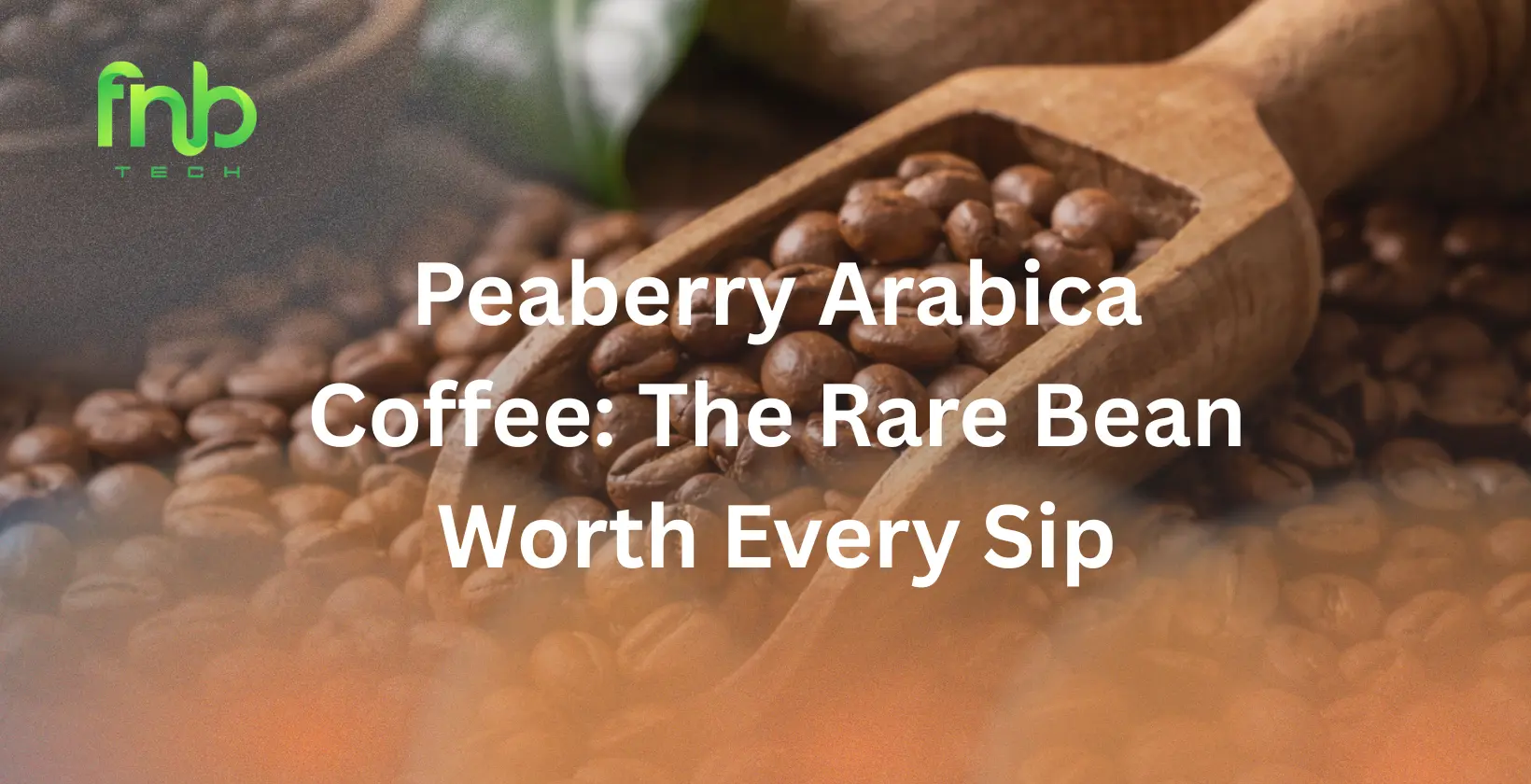 peaberry arabica coffee
