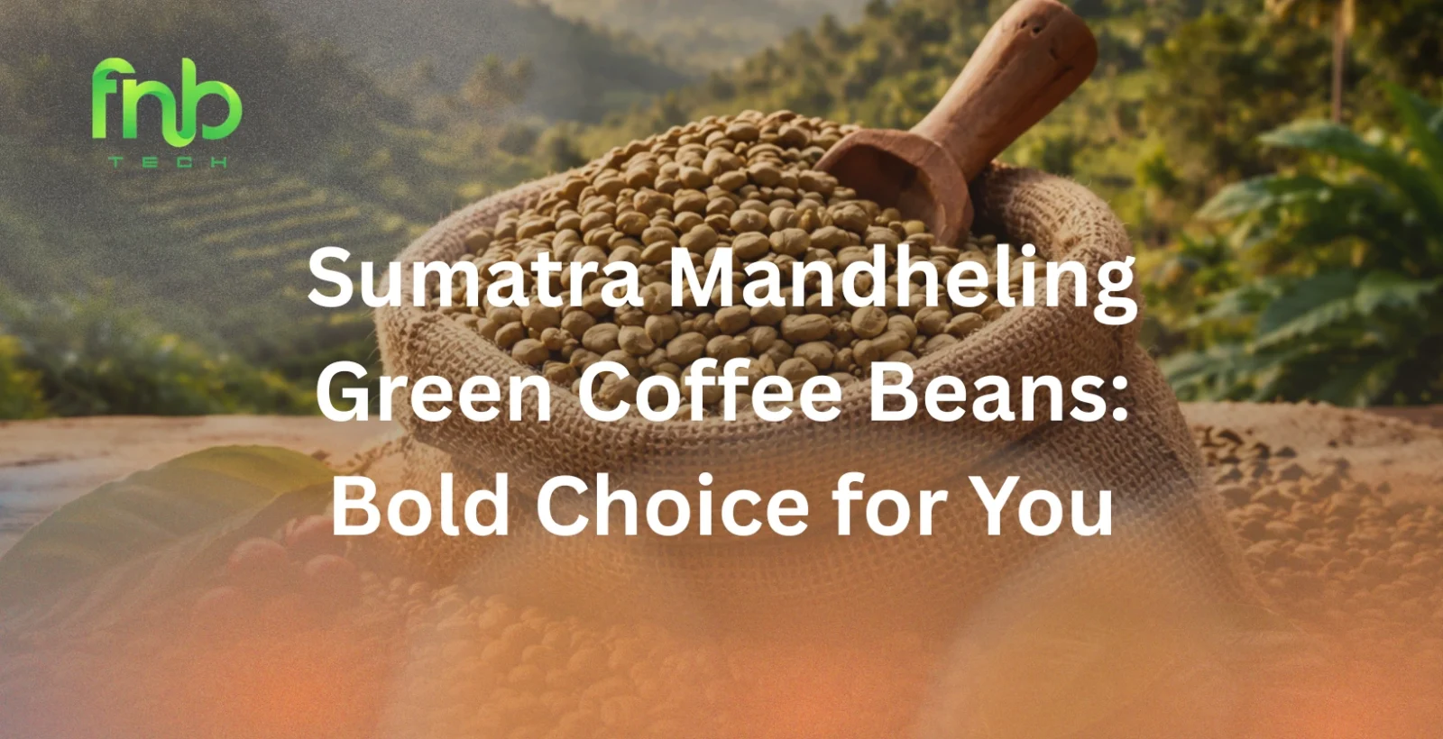 sumatra mandheling green coffee beans