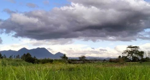 Julok agricultural land
