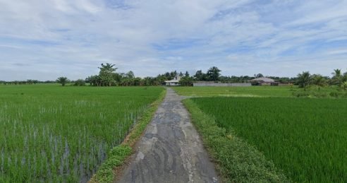 Percut Sei Tuan agricultural land