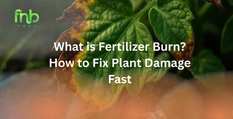 What is Fertilizer Burn? How to Fix Plant Damage Fast - FnB Tech
